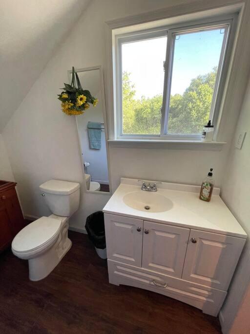 Eden Farm: Private Studio Minutes From Salisbury Exteriör bild